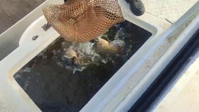 WhatsApp Video 2025-04-29 at 17.43.27 смотреть онлайн