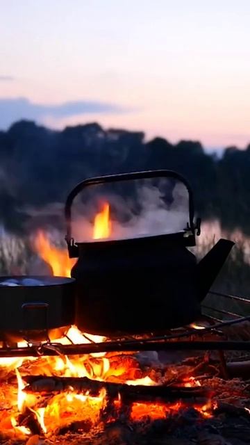 Виталий Бианки "Тайна ночного леса" смотреть онлайн