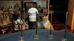 СИЛЬНАЯ ЗАЩИТА СИЛА АВГУРА