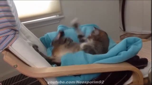 Лучшие приколы из жизни Очень смешно 2013-2014 г. смотреть онлайн