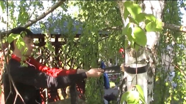 Как заставить берёзку плодоносить смотреть онлайн