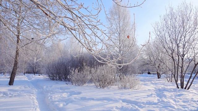 Красивое утро! смотреть онлайн