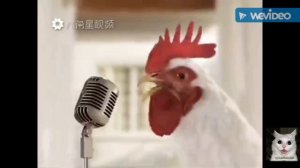 Китайский новогодний прикол