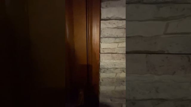 Продажа уникальной квартиры в кирпичном доме с кухней гостиной 30 метров смотреть онлайн