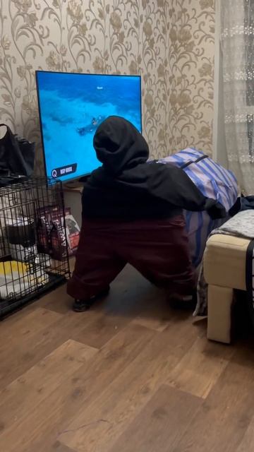 Посмотрим как отреагируют на такой костюм в торговом центре 😂😂 #костюм #прикол #пранк смотреть онлайн