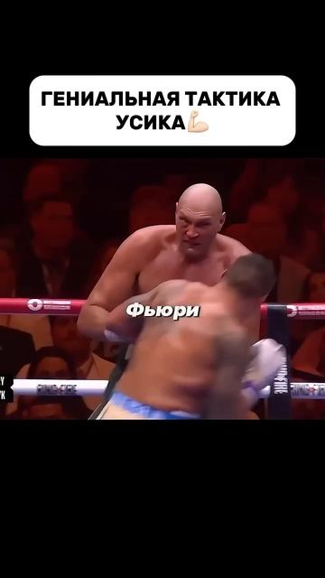 Усик поймал Фьюри #мма #mma #попмма смотреть онлайн