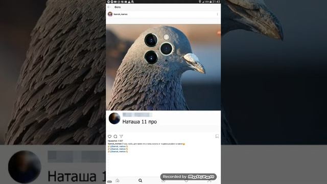 Когда донес пакеты|Лютые приколы смотреть онлайн