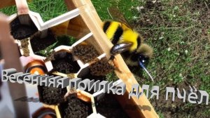 Профессор Кашковский: Как часто менять и стоит ли греть воду в весенней поилке?