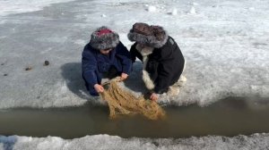 Умнар бырааппыт суох
