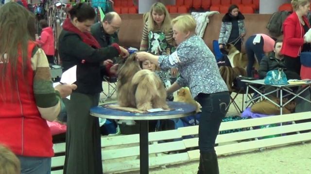 00000 Света Крылова 16.01 2016 смотреть онлайн