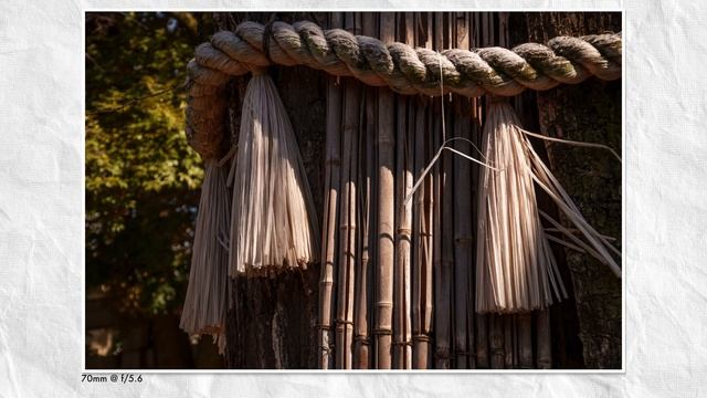 Действительно ли Sigma 16-300mm создала ИДЕАЛЬНЫЙ зум-объектив для путешествий смотреть онлайн