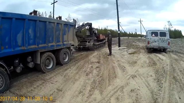 Тянут потянут! смотреть онлайн
