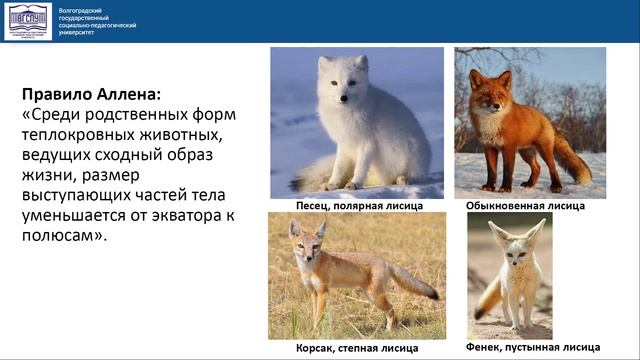 Видеокейс. Использование закономерностей факториальной экологии при решении заданий ГИА по био смотреть онлайн