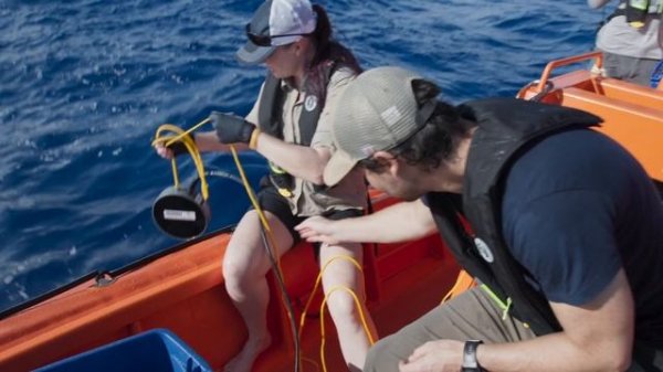 OceanXplorers.2024.S01E01.WEB-DL.1080p.PazlVoice