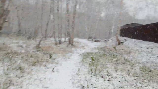 Снежок👍❄🔥Это хорошо!