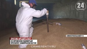 Обезопасить от вредителей: в Крыму проводят кампанию по обеззараживанию зернохранилищ