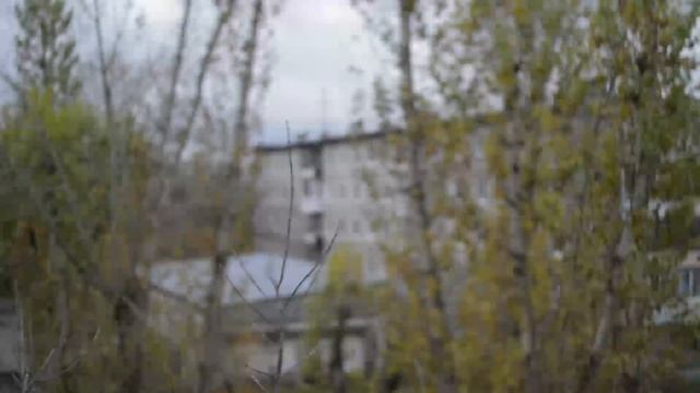 Тихо падает снег. 21 октября