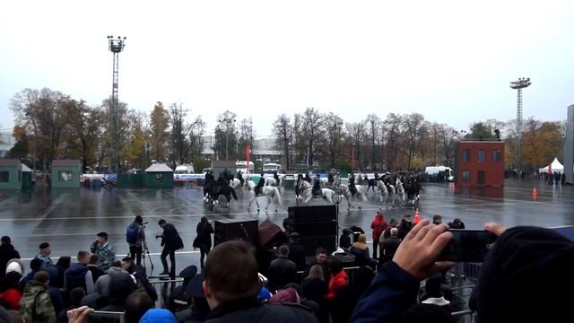 конная полиция лужники