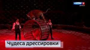 Братья Запашные в Донецком цирке!