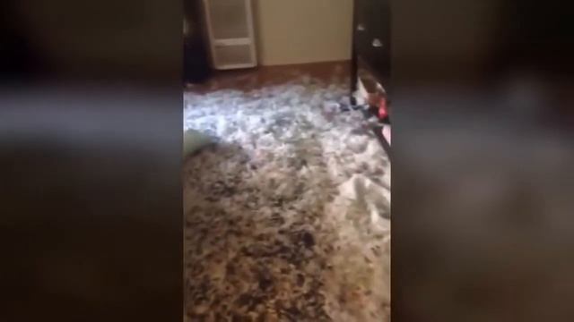 Смешные падения! СМЕШНЫЕ НЕУДАЧИ! ТП! Приколы про баба! Приколы над людьми! 135 смотреть онлайн