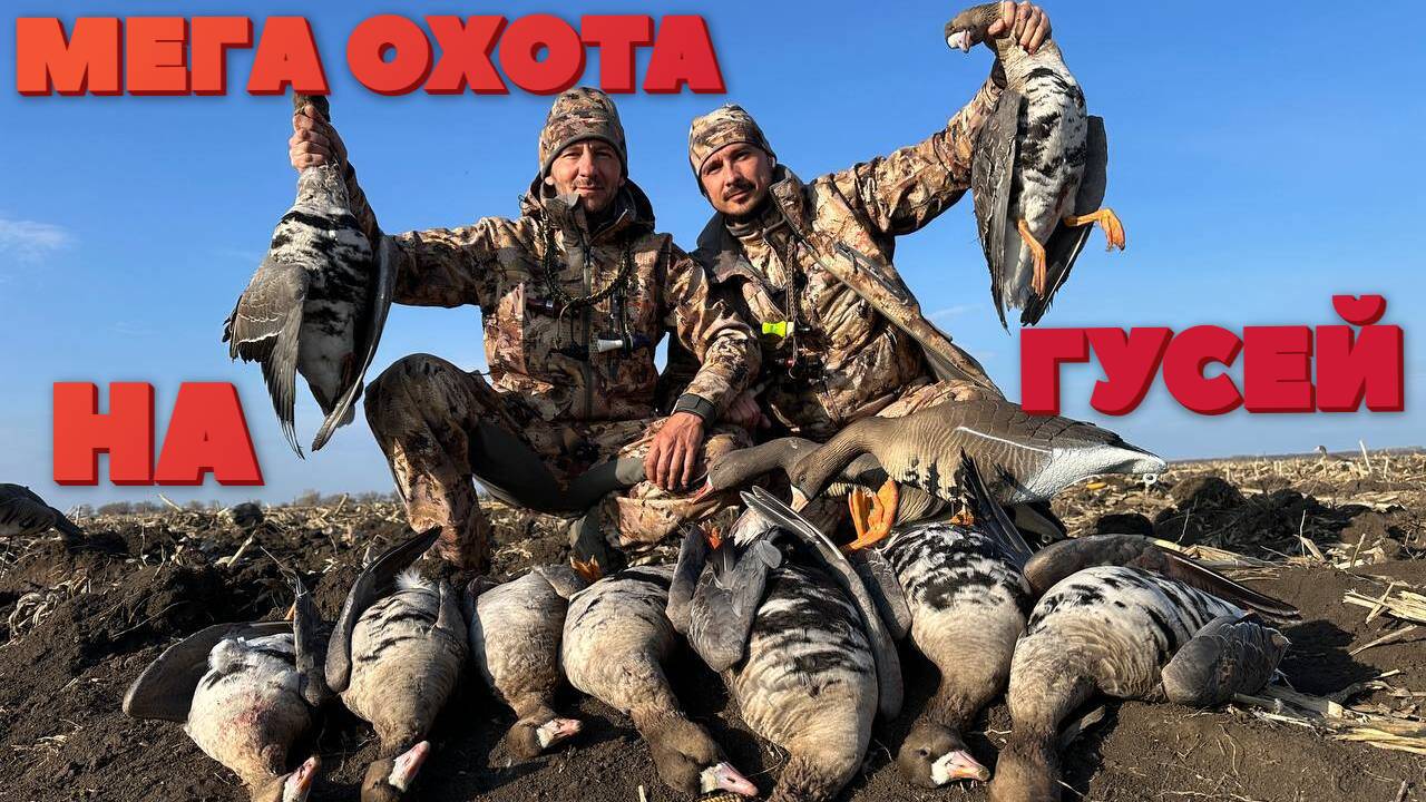 МЕГА ОХОТА НА ГУСЕЙ!!! смотреть онлайн