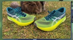 Топ 5 кроссовок ASICS ДЛЯ БЕГА | Какие кроссовки Asics купить для бега