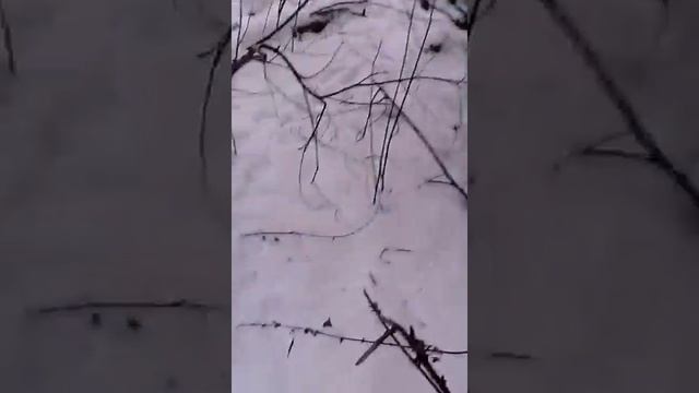 Сабака тоах смотреть онлайн
