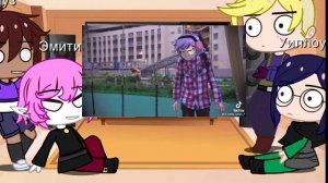 Реакция совиного дома на тт