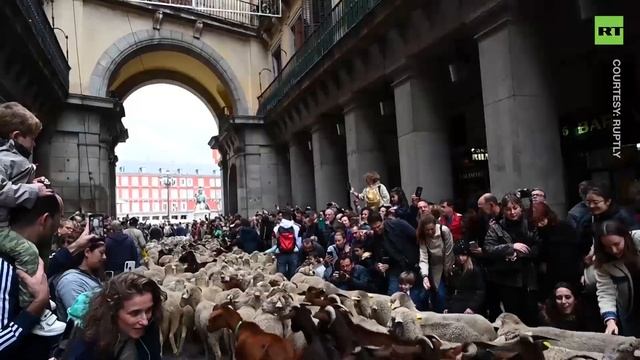 Transhuman parade - Парад трансгуманоидов смотреть онлайн