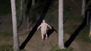 коротко о жизни добби |косплей милс кел|