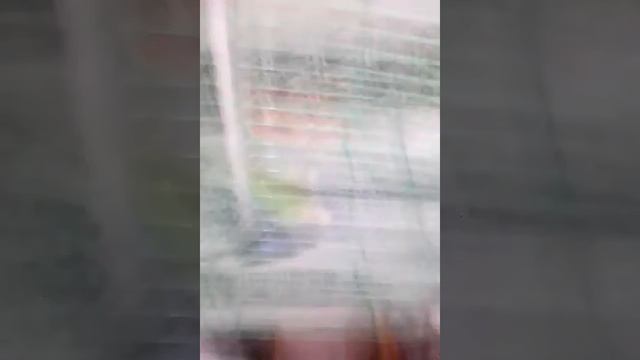 31 октября 2016 г.