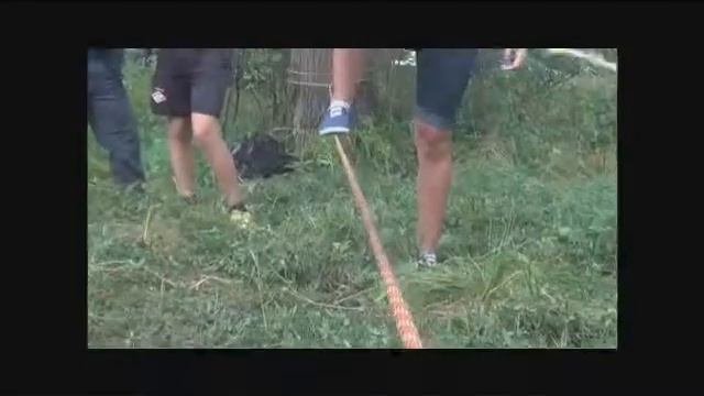 Фестиваль боевых искуств и смешанных единоборств