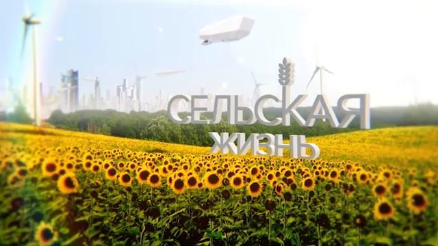 "Сельская жизнь" от 13 мая 2017 года. смотреть онлайн