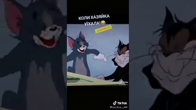 приколы том и Джери з матами смотреть онлайн