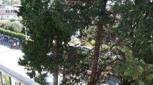 Отель Жоэквара Гагра Абхазия