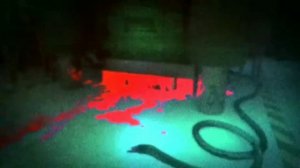 Реалистичная кровь | Смерть Кокичи Омы | Danganronpa V3