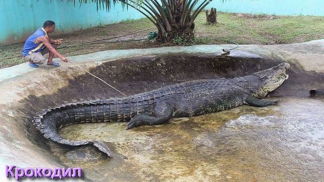 Ответы на Вопросы по Эзотерике от 29.04.25 Часть 3 смотреть онлайн