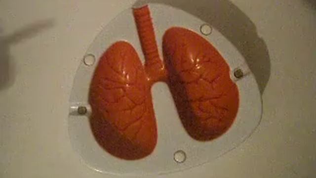 Пепельница "легкие курильщика" - кашляющая смотреть онлайн