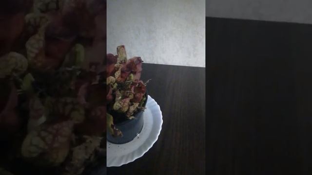 Рассказываю о саррацении смотреть онлайн