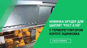 Брудер не имеющий аналогов "Рост А100". НОВИНКА 2025