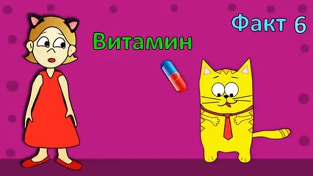 Интересные факты о кошках Бабушка Шошо смотреть онлайн