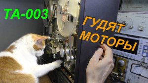 Мамкин токарь с кошкой глумятся. Зажевало ленту