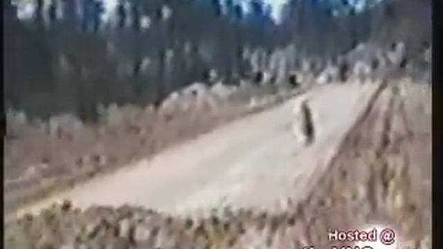 Мотик... смотреть онлайн