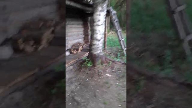 Доехали до избушки