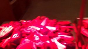 Ужин в отеле MARITIM JOLIE VILLE RESORT & CASINO, Египет, Шарм-эль-Шейх. Февраль 2019