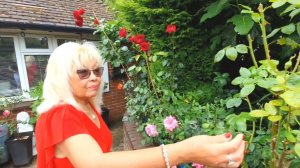 1.  В ГОСТЯХ У РУССКО-АНГЛИЙСКОЙ СЕМЬИ.