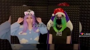 кошка лана и Крошка Ева крашихи