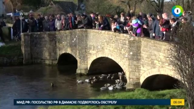 Кто кого в Британии устроили гонки резиновых уточек смотреть онлайн