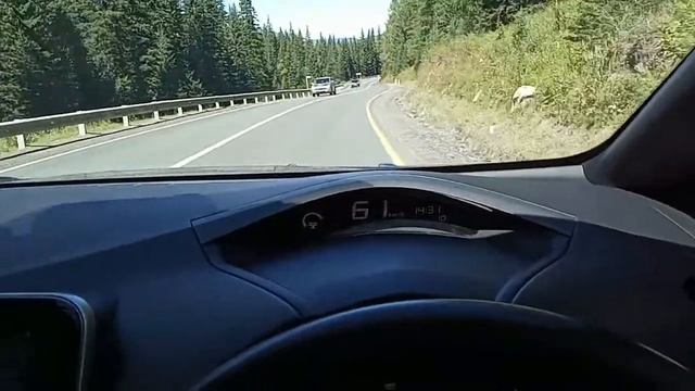 Алтай на Лифе. Спуск с Семинского перевала смотреть онлайн