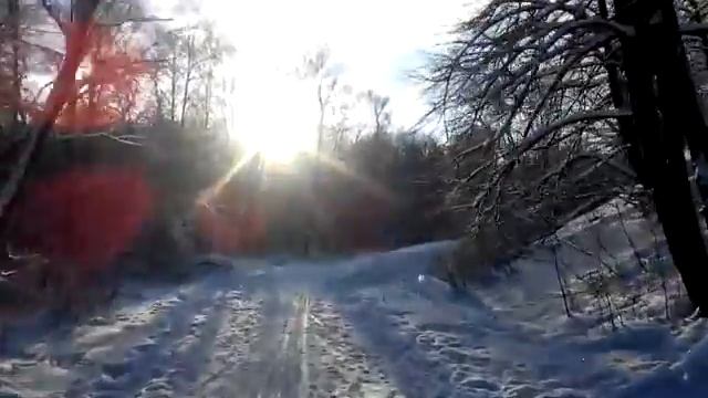 Красивая зима выдалась